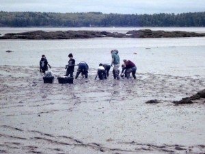 Working to save clams from European green crab--Woolwich Central School
