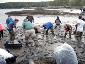 Woolwich Central's seventh graders hard at work with Dr. Beal from the University of Maine-Machias